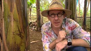 C'est pas sorcier - Bananes : sorciers à plein régime