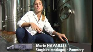 C'est pas sorcier - Champagne, les sorciers se font mousser