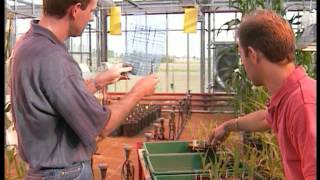 C'est pas sorcier - Pesticides