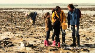 C'est pas Sorcier - A l'heure des marées