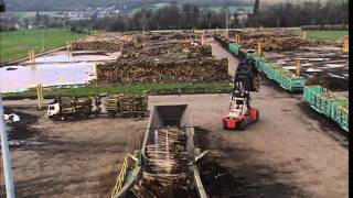 C'est pas sorcier - Papier : il n'a pas toujours la fibre écologique