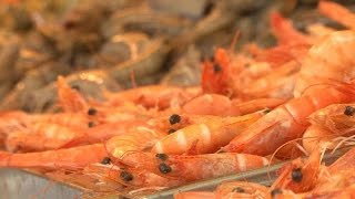 Crevettes, les nouvelles stars de la grillade