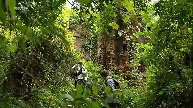 Angkor, la métropole dans la jungle