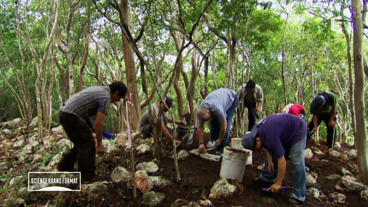 Documentaire Le royaume perdu des Mayas