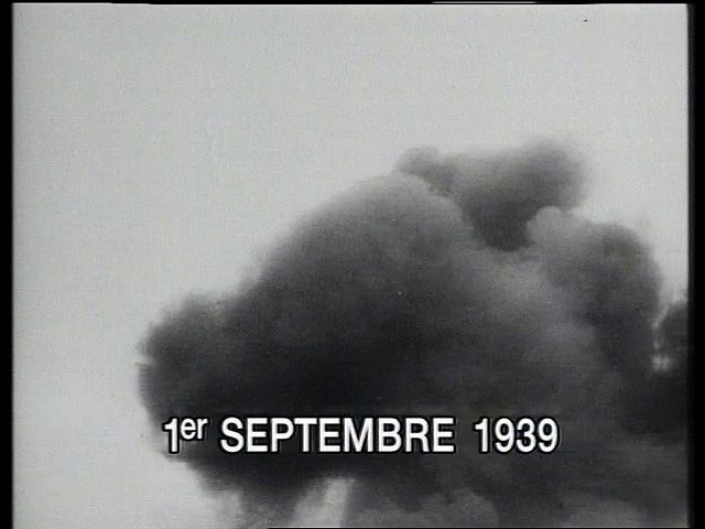 Les Waffen SS - Les unités d'élites d'Hitler