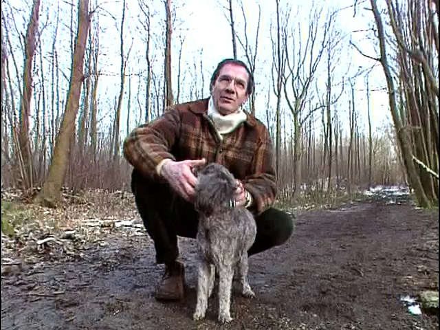 Les chiens de chasse
