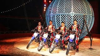 Cirques : la grande tournée des petits chapiteaux