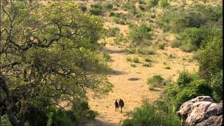 Documentaire Une journée en brousse