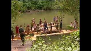 Mission Kalaweit - Orangs-outans & gibbons d'Indonésie
