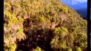 Les nuits de la hyène en Ethiopie