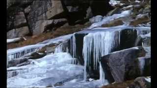 Les seigneurs de l'hiver - Chamois & bouquetins dans les Alpes