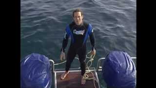 Ushaka, territoire du Grand Requin Blanc