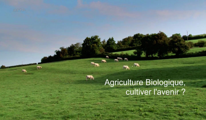 Documentaire Agriculture biologique, cultiver l’avenir