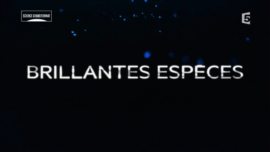 Documentaire Brillantes espèces