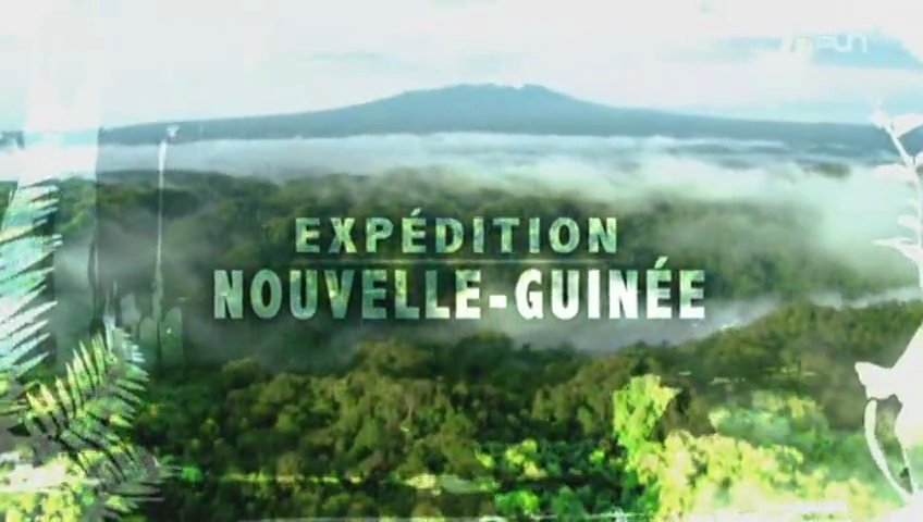 Documentaire Expédition Nouvelle-Guinée