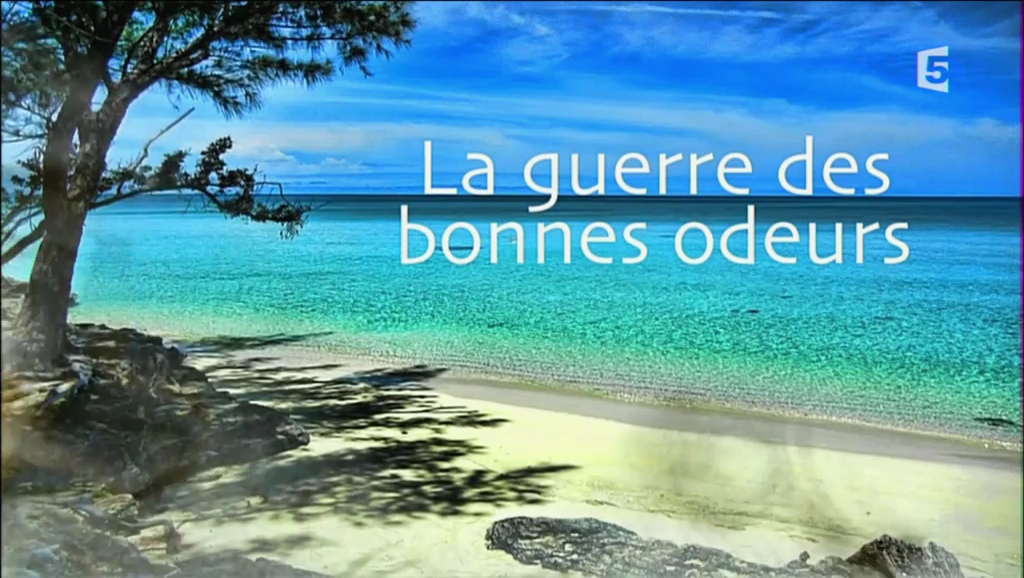 La guerre des bonnes odeurs