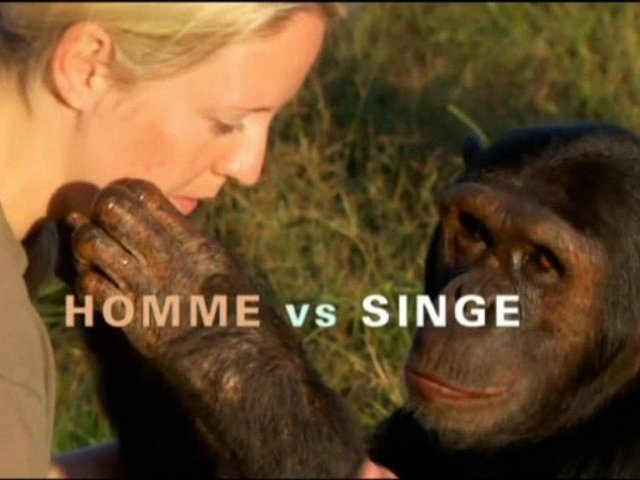 L'homme contre le singe