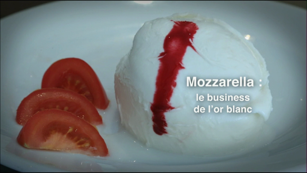 Mozzarella, le business de l'or blanc