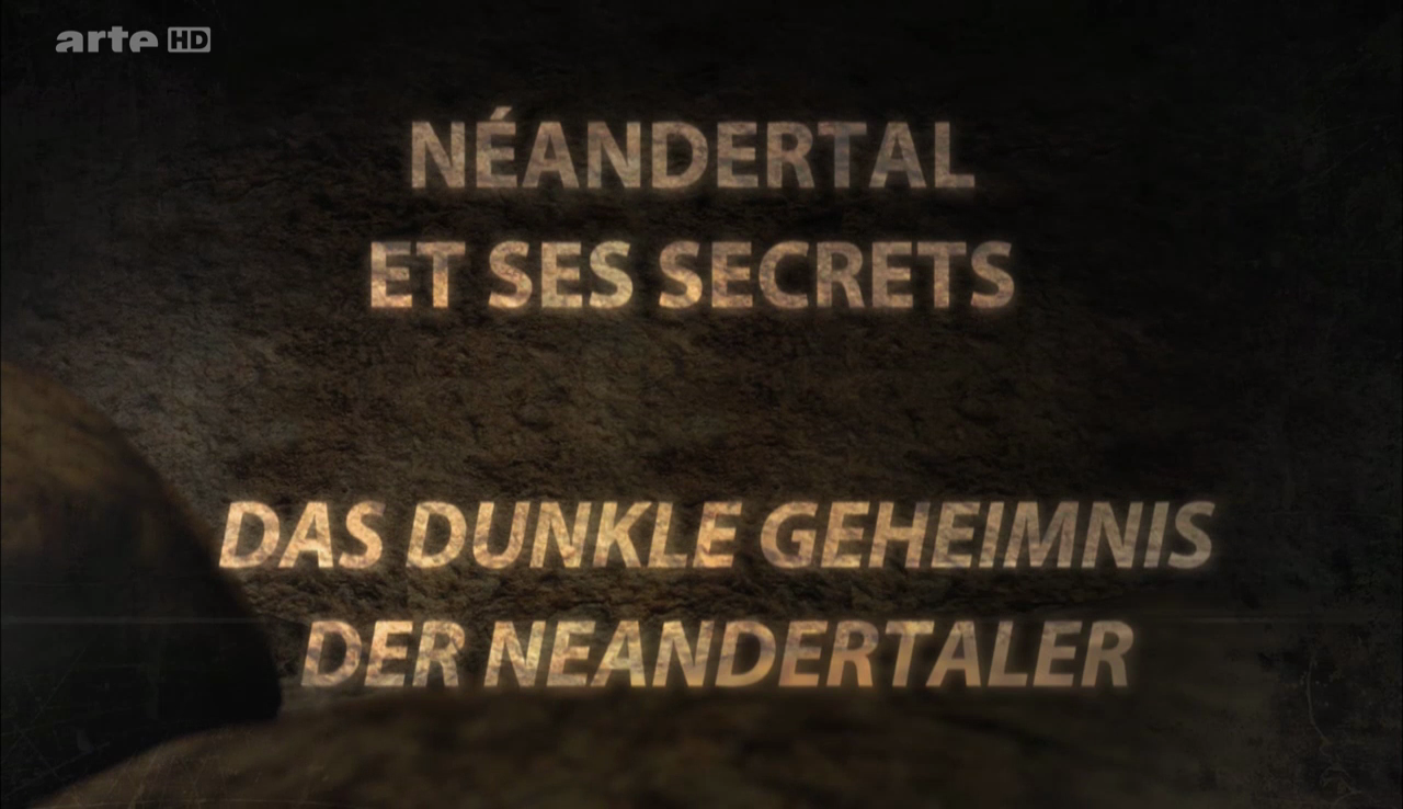 Documentaire Néandertal et ses secrets