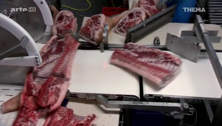 Voyage au bout de la viande