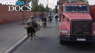 Documentaire Marrakech au petit trot