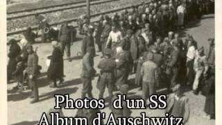 Documentaire Tu n’as rien vu à Auschwitz