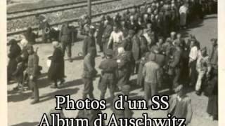 Tu n'as rien vu à Auschwitz