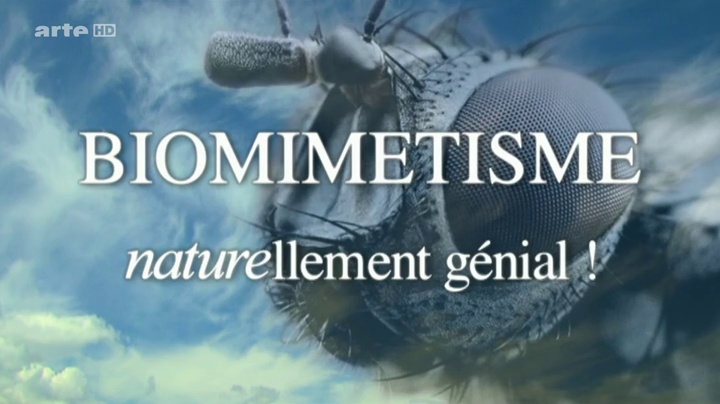 Documentaire Biomimetisme naturellement génial, les materiaux du futur