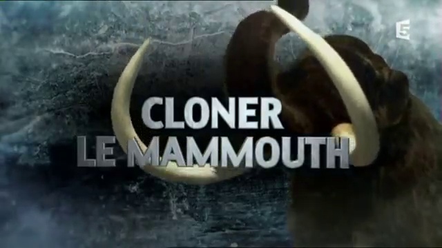 Documentaire Cloner le mammouth