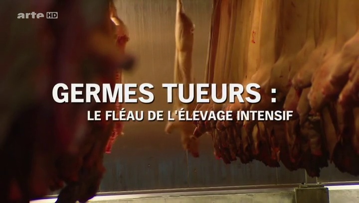 Germes tueurs, le fléau de l'élevage intensif