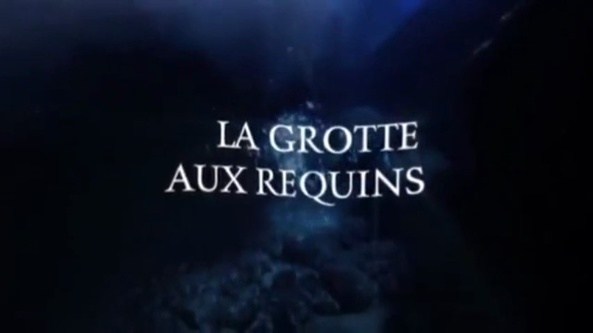 Documentaire La grotte aux requins