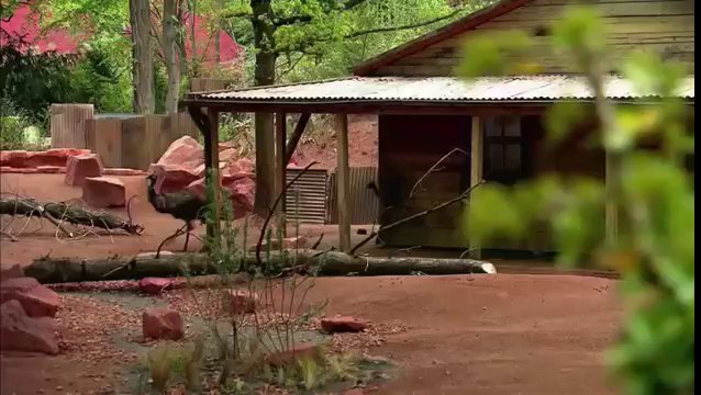 Xenius – Jurassic Park en Allemagne