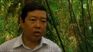 Documentaire Au coeur du delta du Mekong