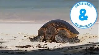 Les Seychelles