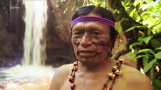 Chamanisme : les médecins volants du Rio Pastaza