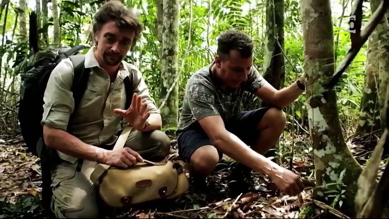 A la conquête de l'Amazonie - Au cœur de la forêt