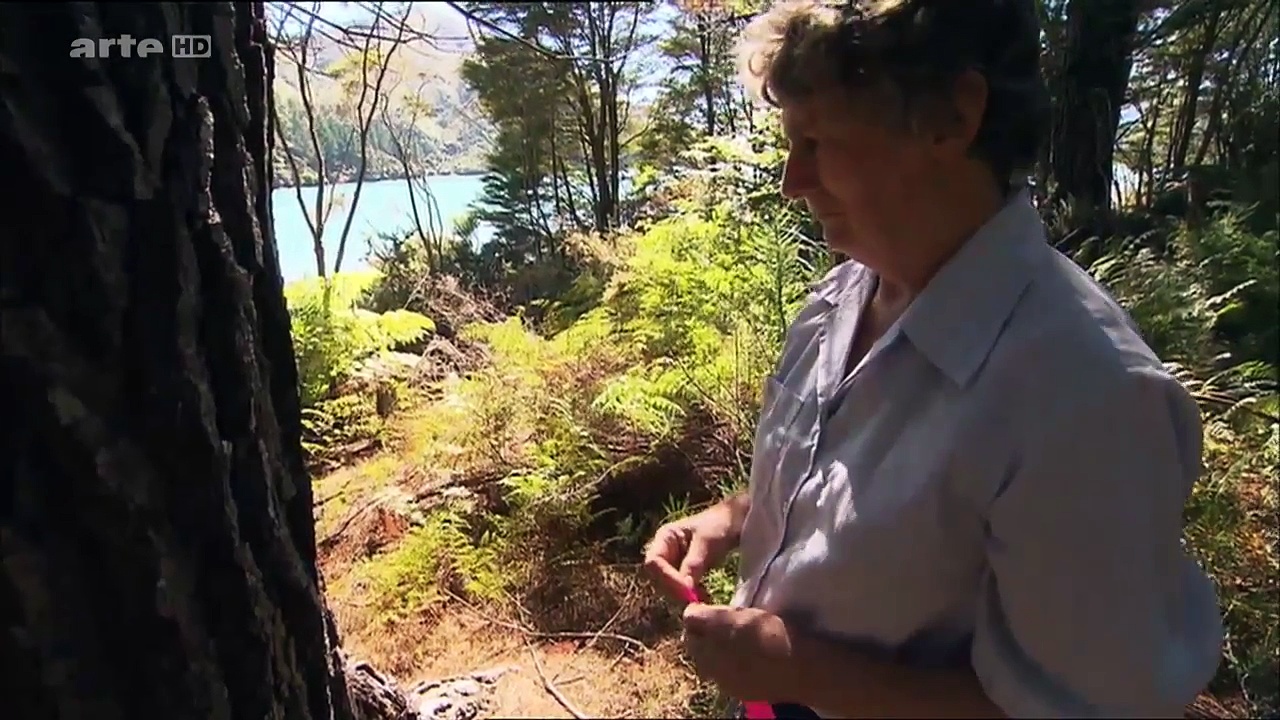 Documentaire Contes des mers – Un été en Nouvelle-Zélande : les Marlborough Sounds