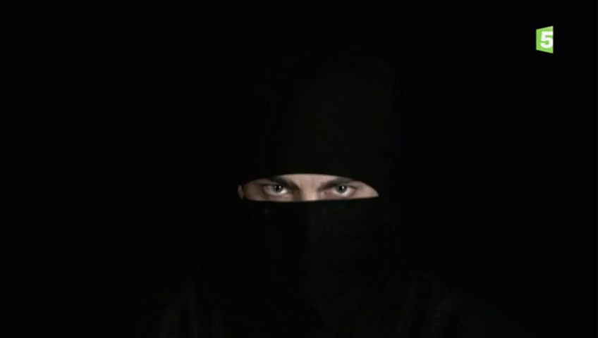 Crevette ninja
