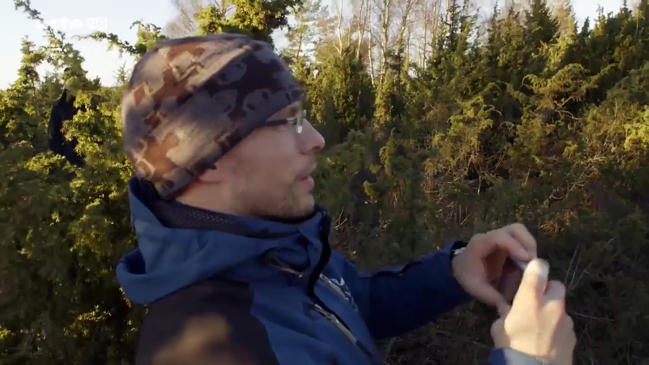 Documentaire En Suède, sur la piste des élans