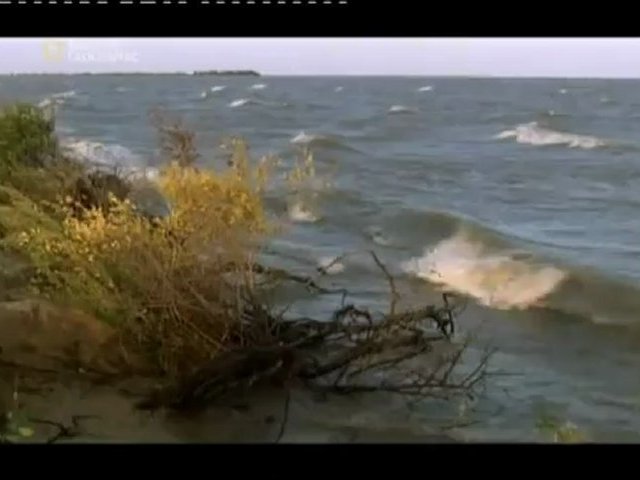 La Russie à l’état sauvage - La foret secrète