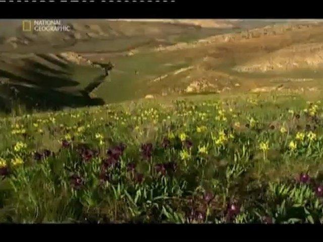 La Russie à l’état sauvage - Le caucase