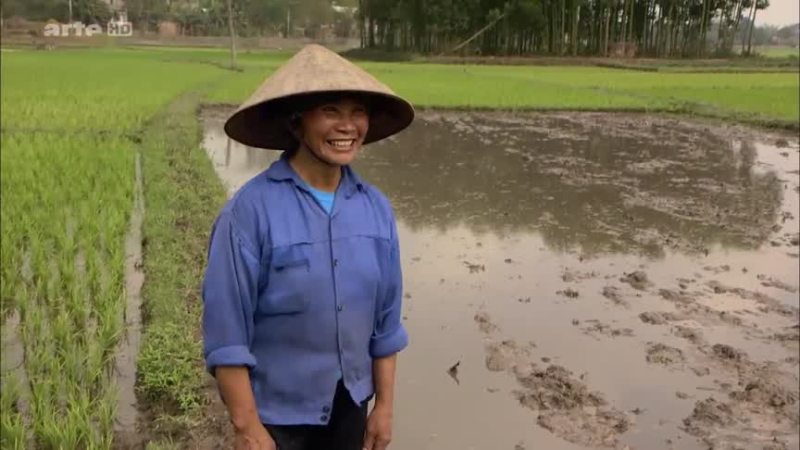 Documentaire Les aventures culinaires de Sarah Wiener en Asie – Le riz au Vietnam