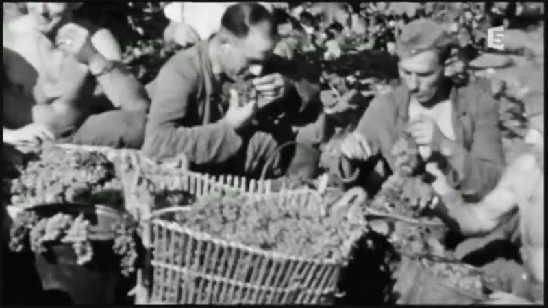 Les raisins de la guerre