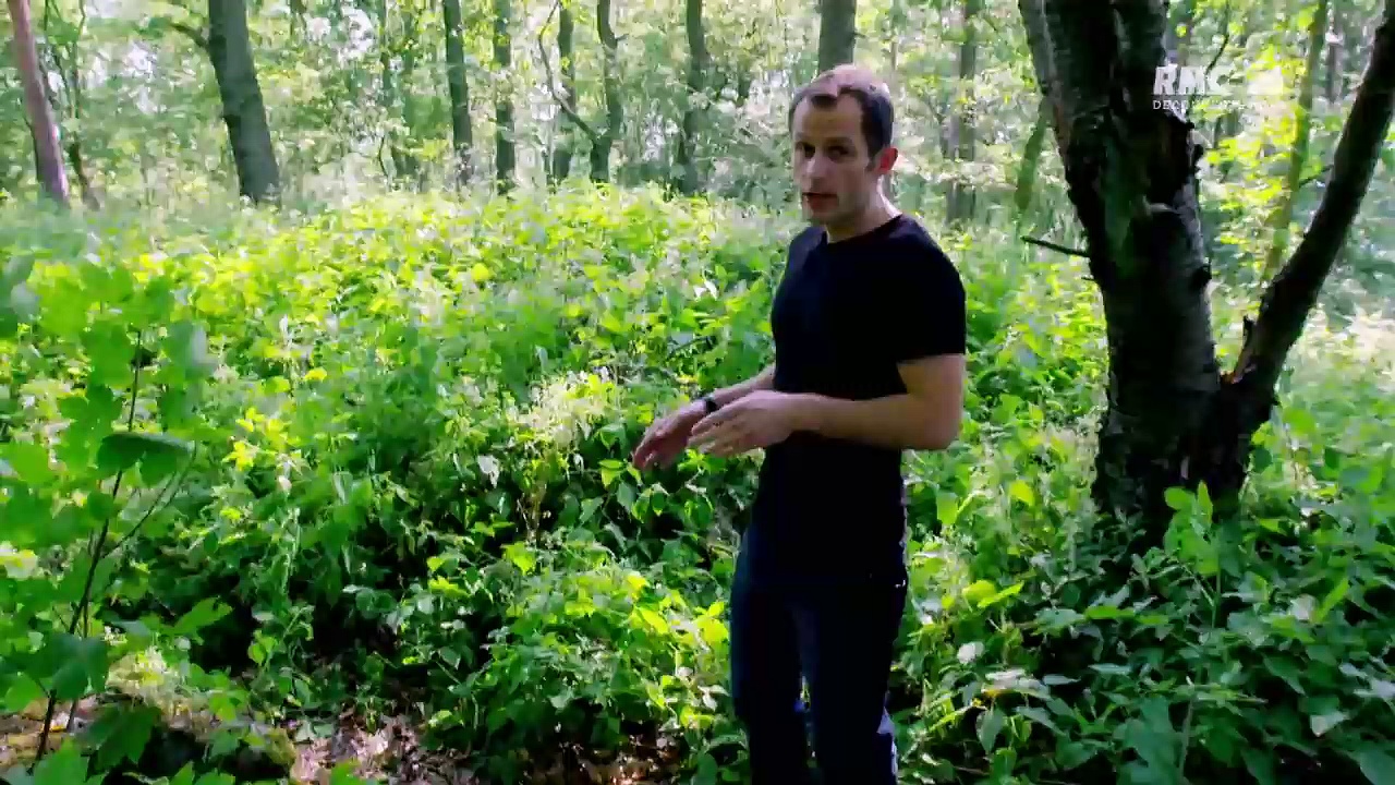 La tanière du loup
