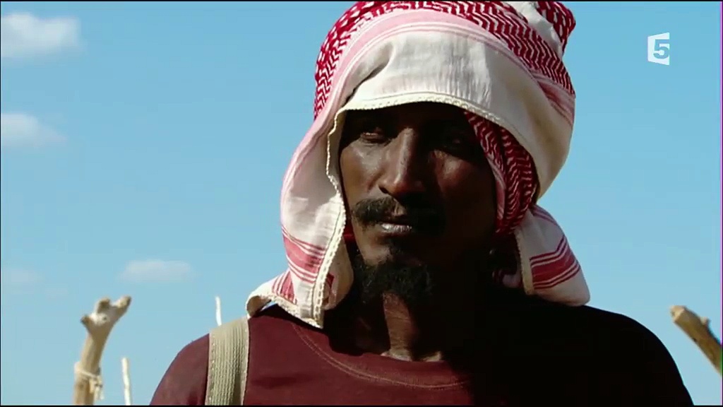 Quand la terre tremble - Le grand Rift