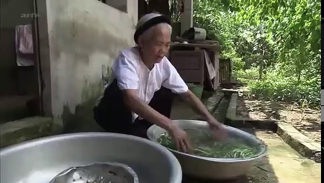 Documentaire Vietnam, du cobra au menu