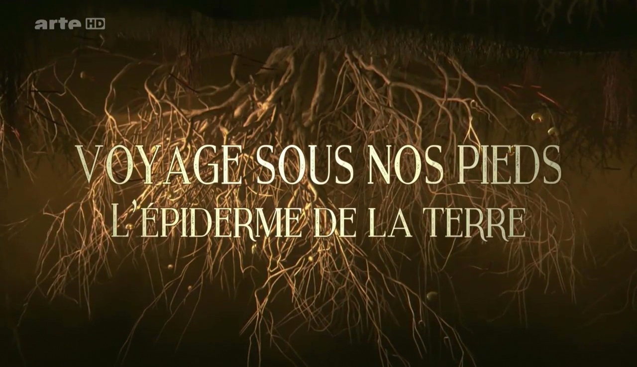 Documentaire Voyage sous nos pieds – L’épiderme de la Terre