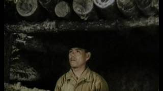 Nazis vs US Army, sur les océans - 4 - The Navy