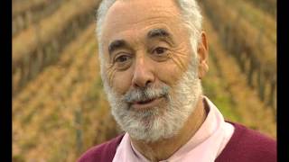 La route des vins – Languedoc