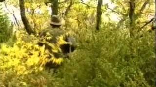 Chasse au sanglier en France